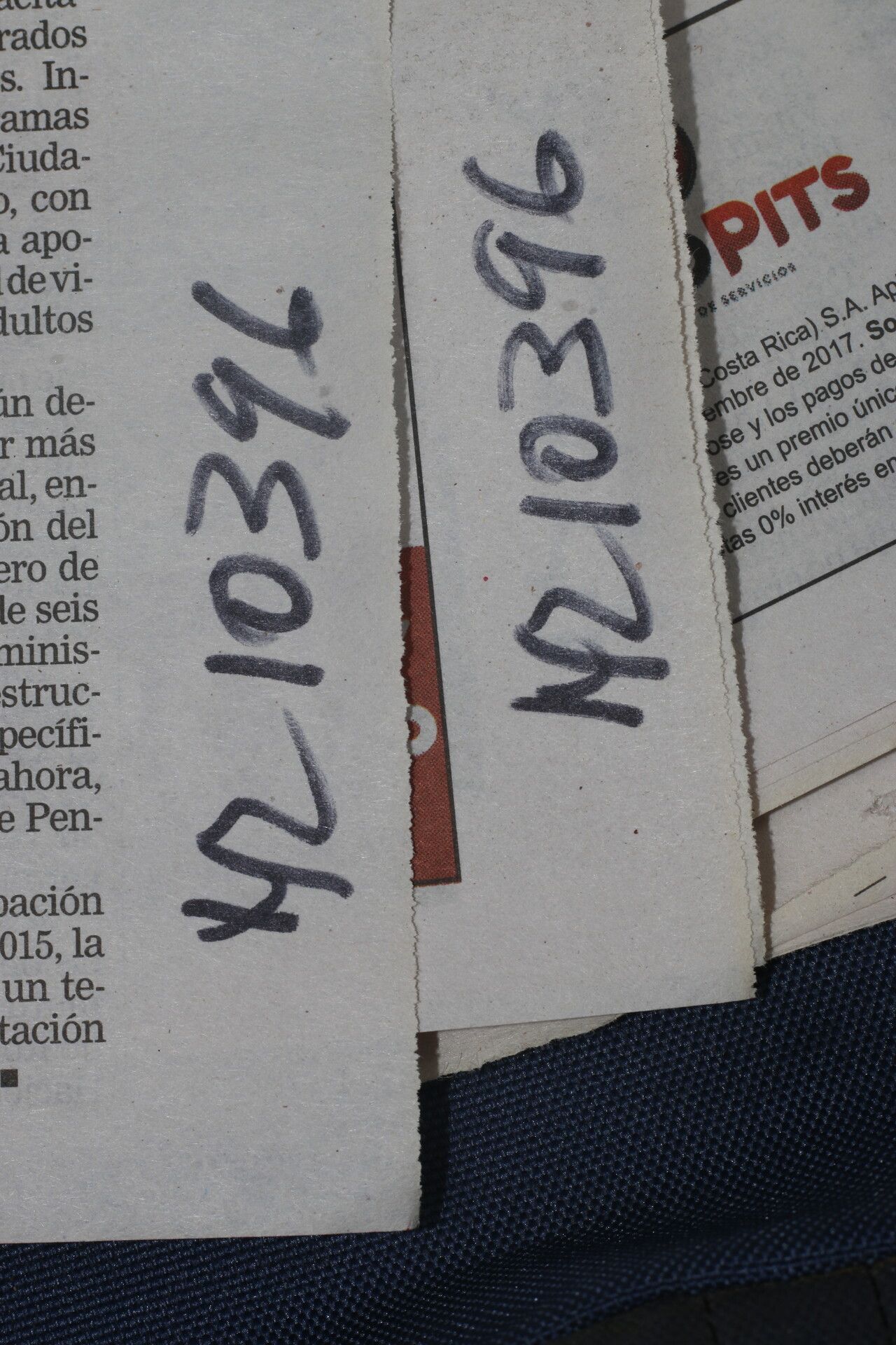 Valeriana palmeri fruit