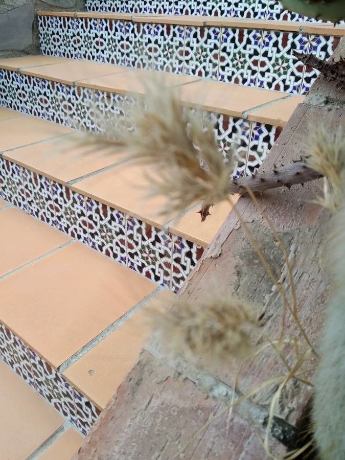 Bromus rubens — search result for 'Bromus'