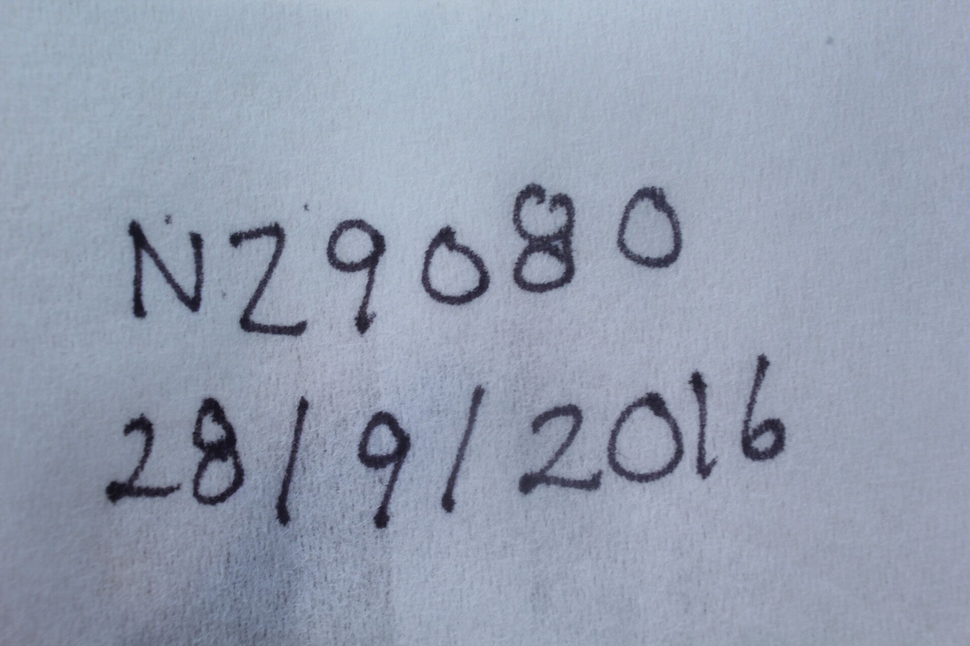 Indigofera lespedezioides fruit