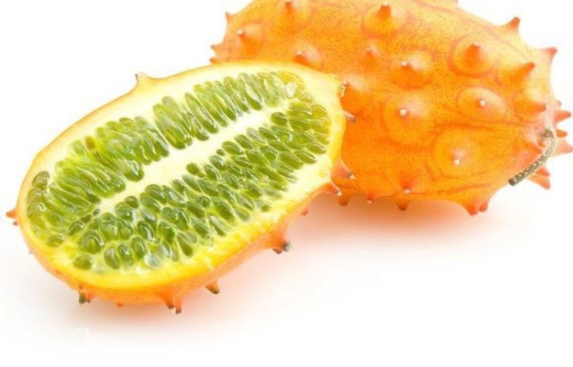 Cucumis metulifer fruit