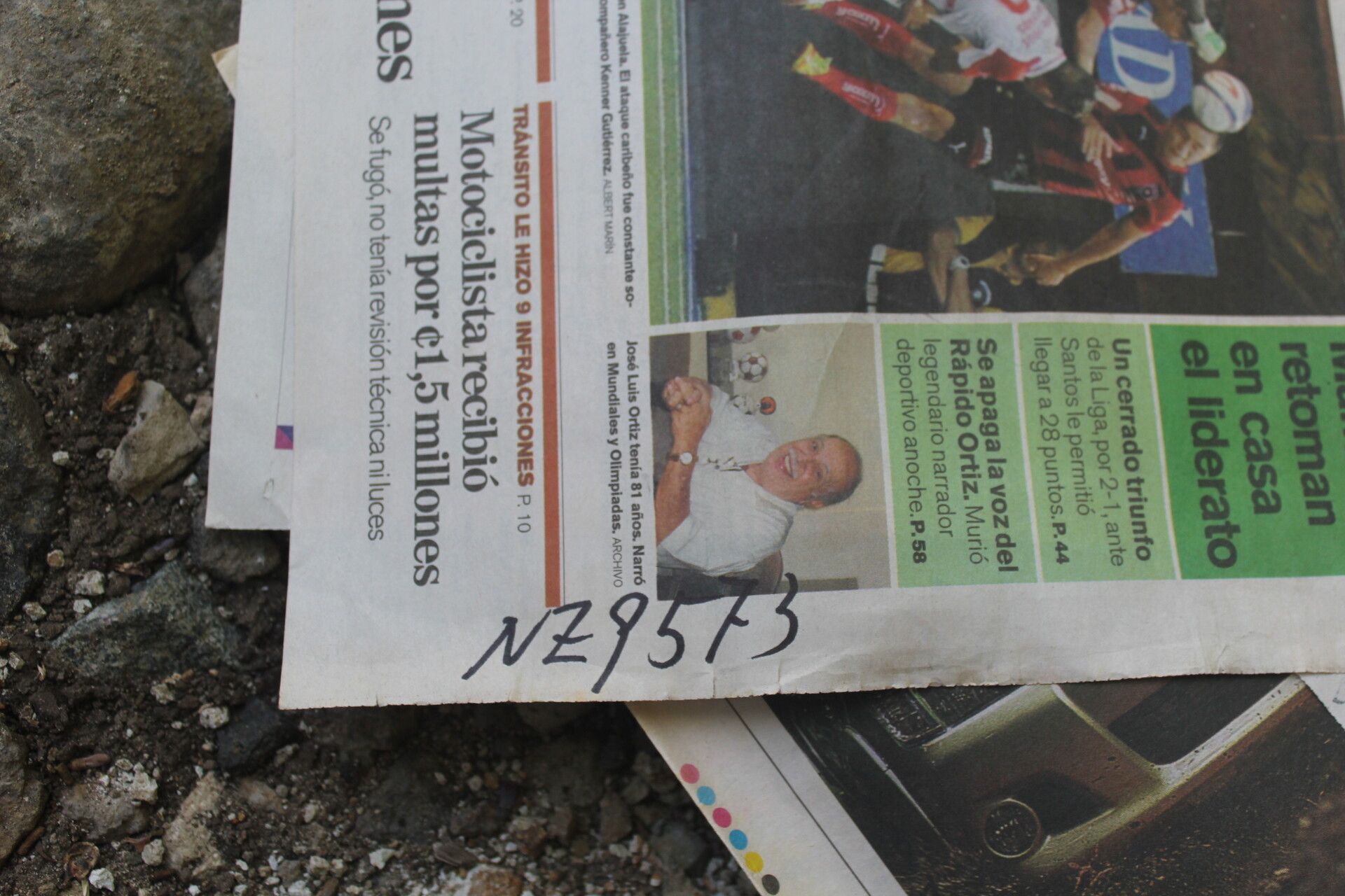 Colubrina triflora other