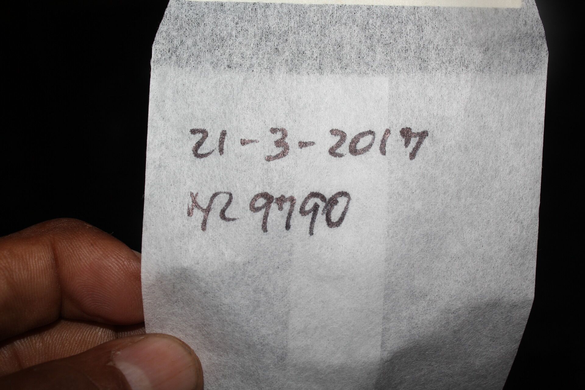 Triolena hirsuta other