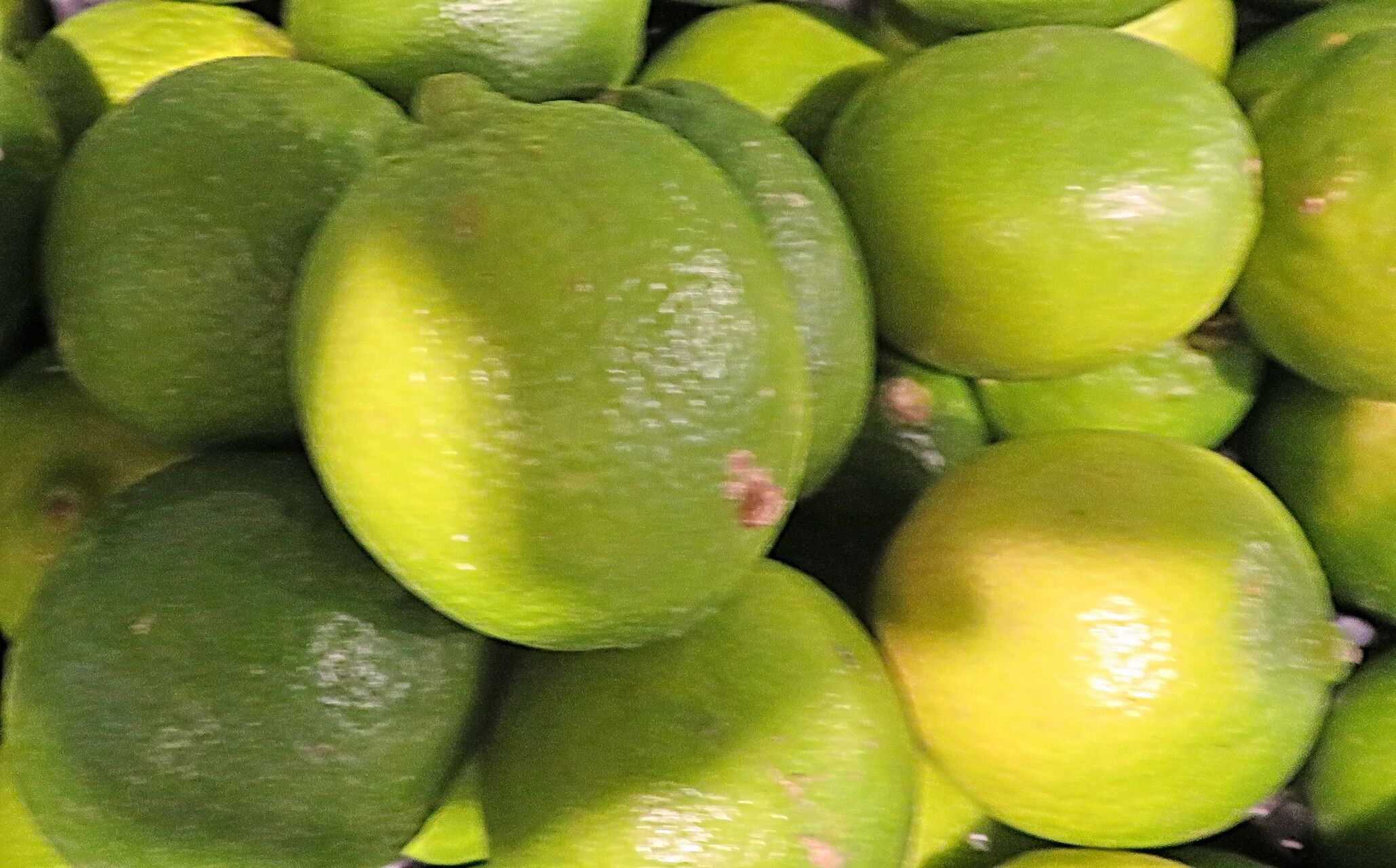 Citrus × aurantiifolia fruit