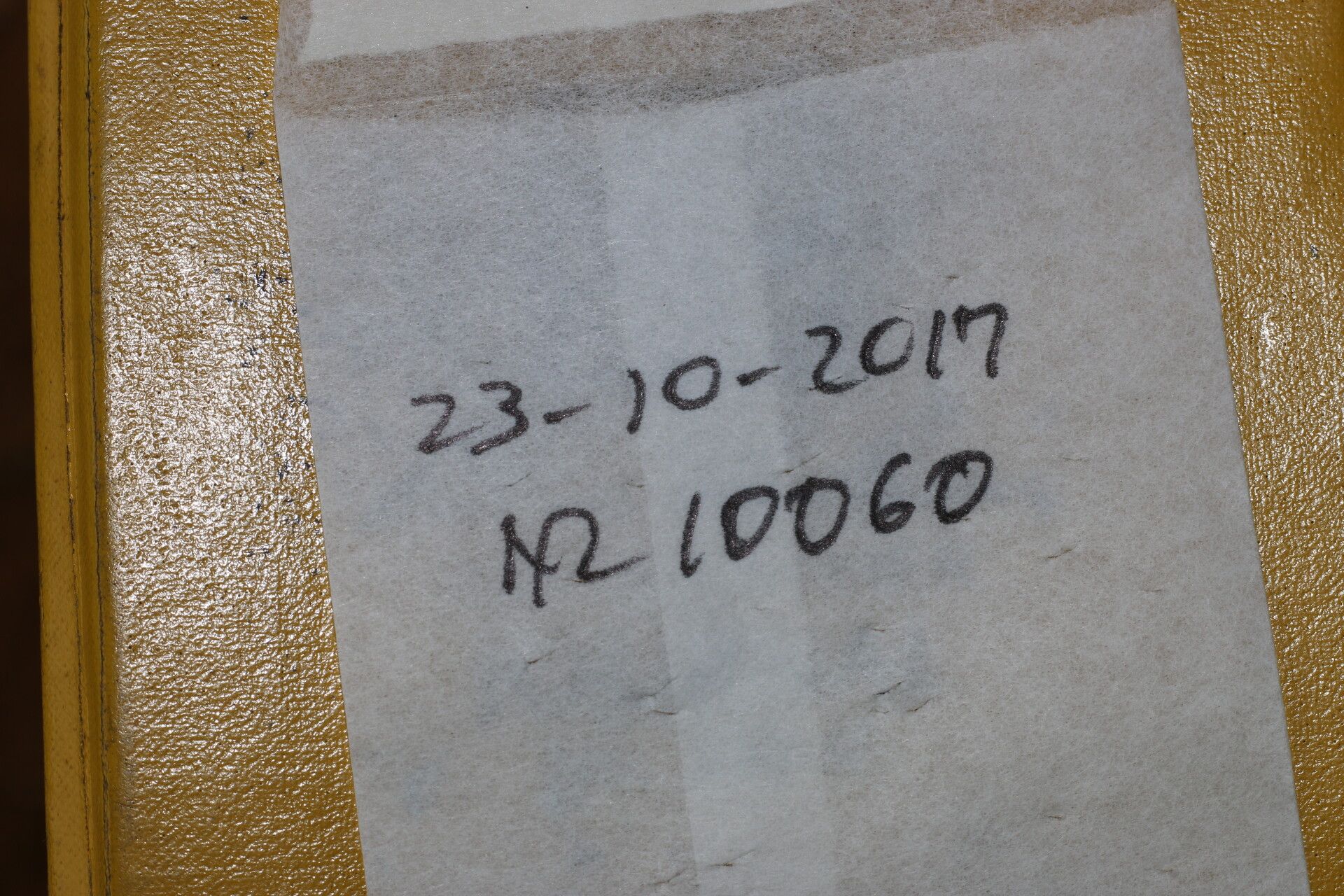 Hyptis obtusiflora other