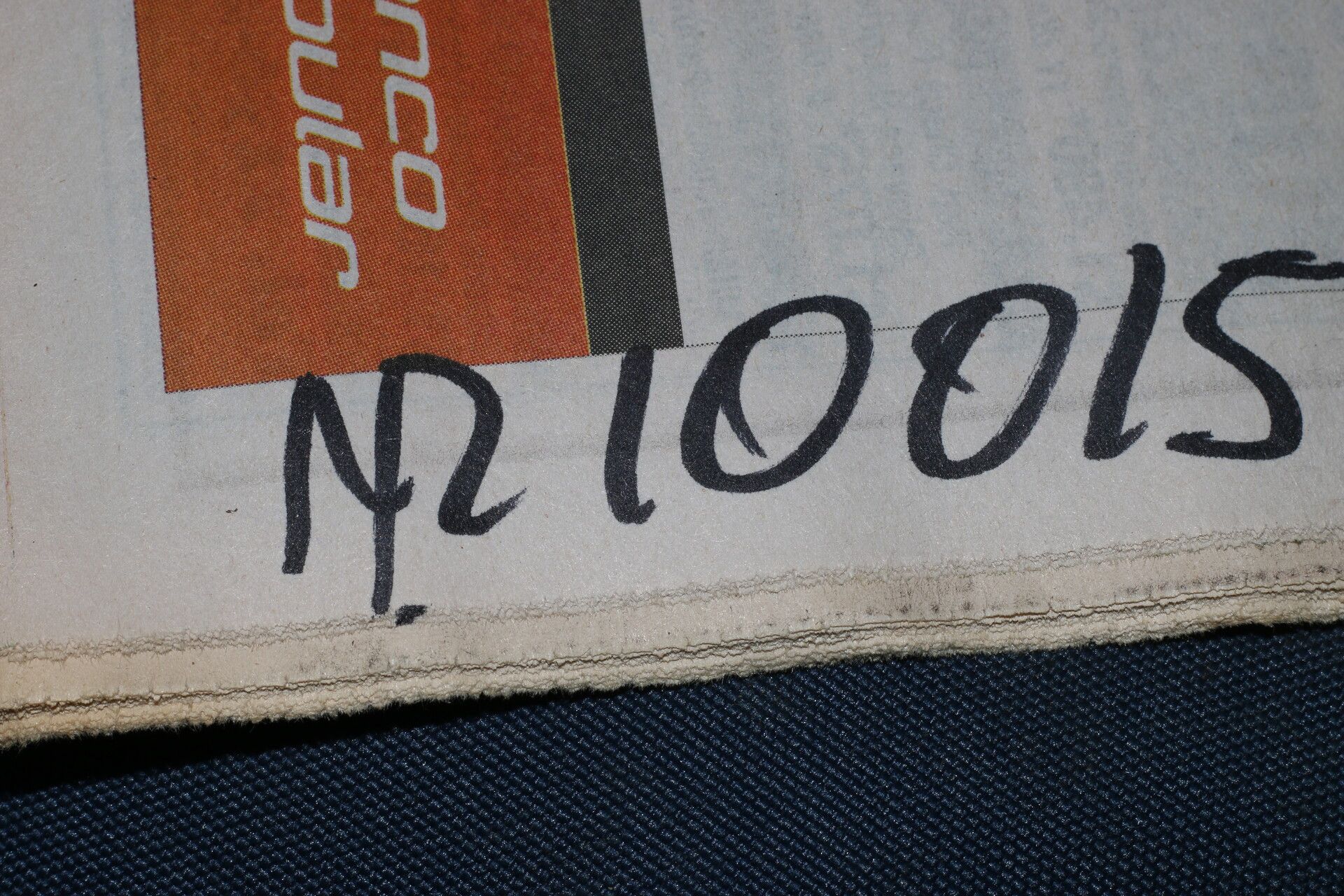 Ficus crassinervia fruit