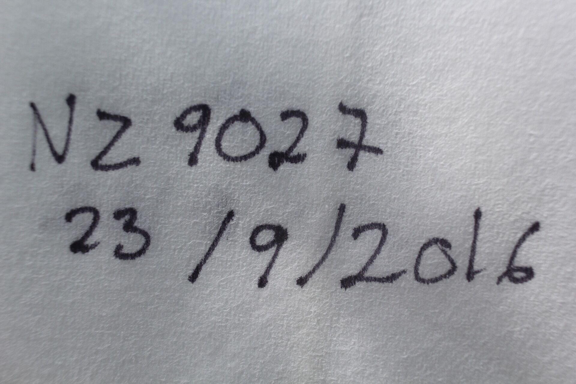 Acaciella villosa fruit