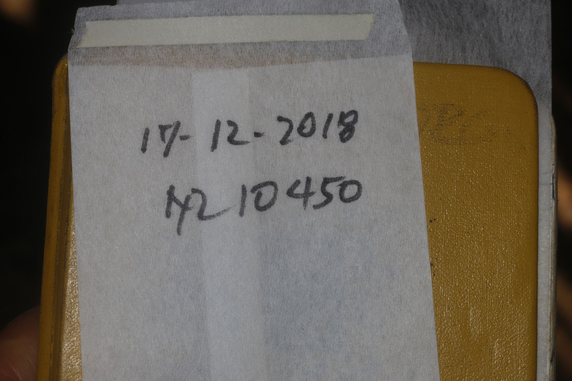 Tabebuia palustris other