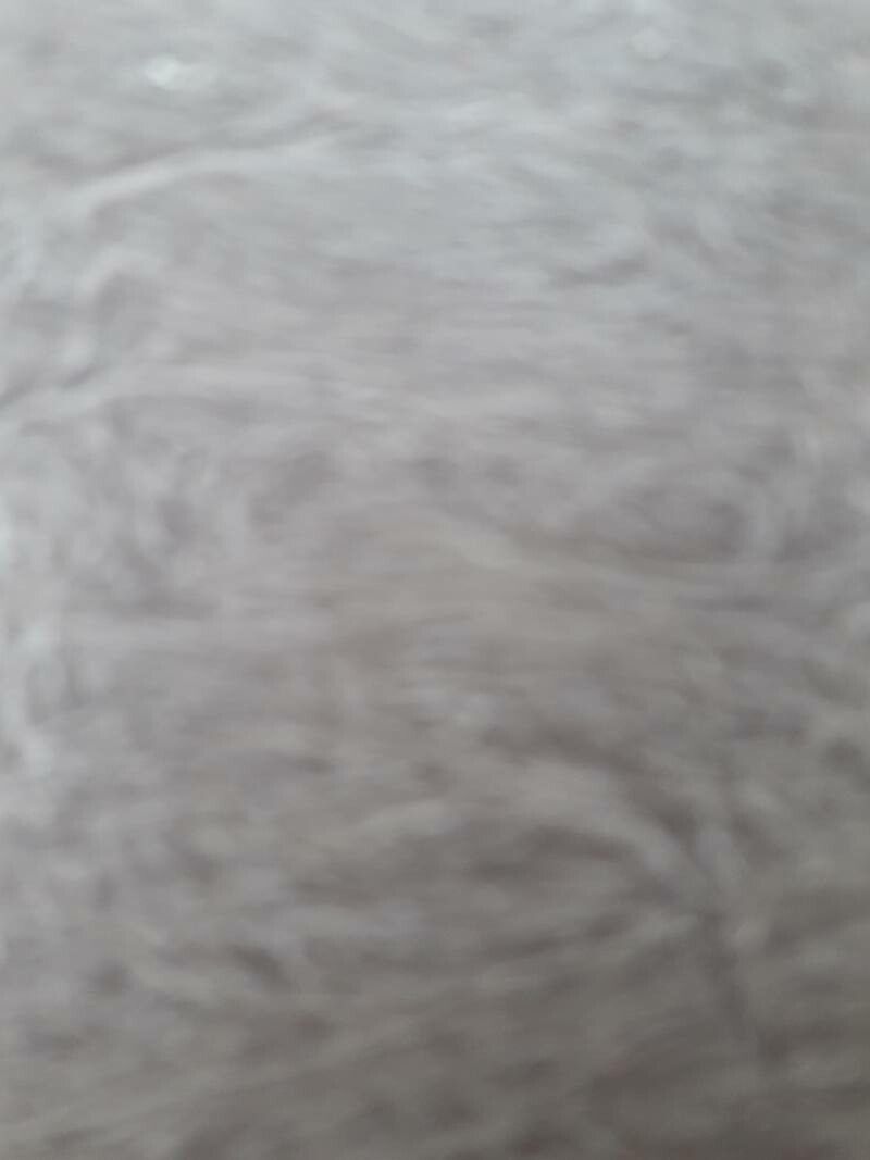 Heliocarpus popayanensis bark