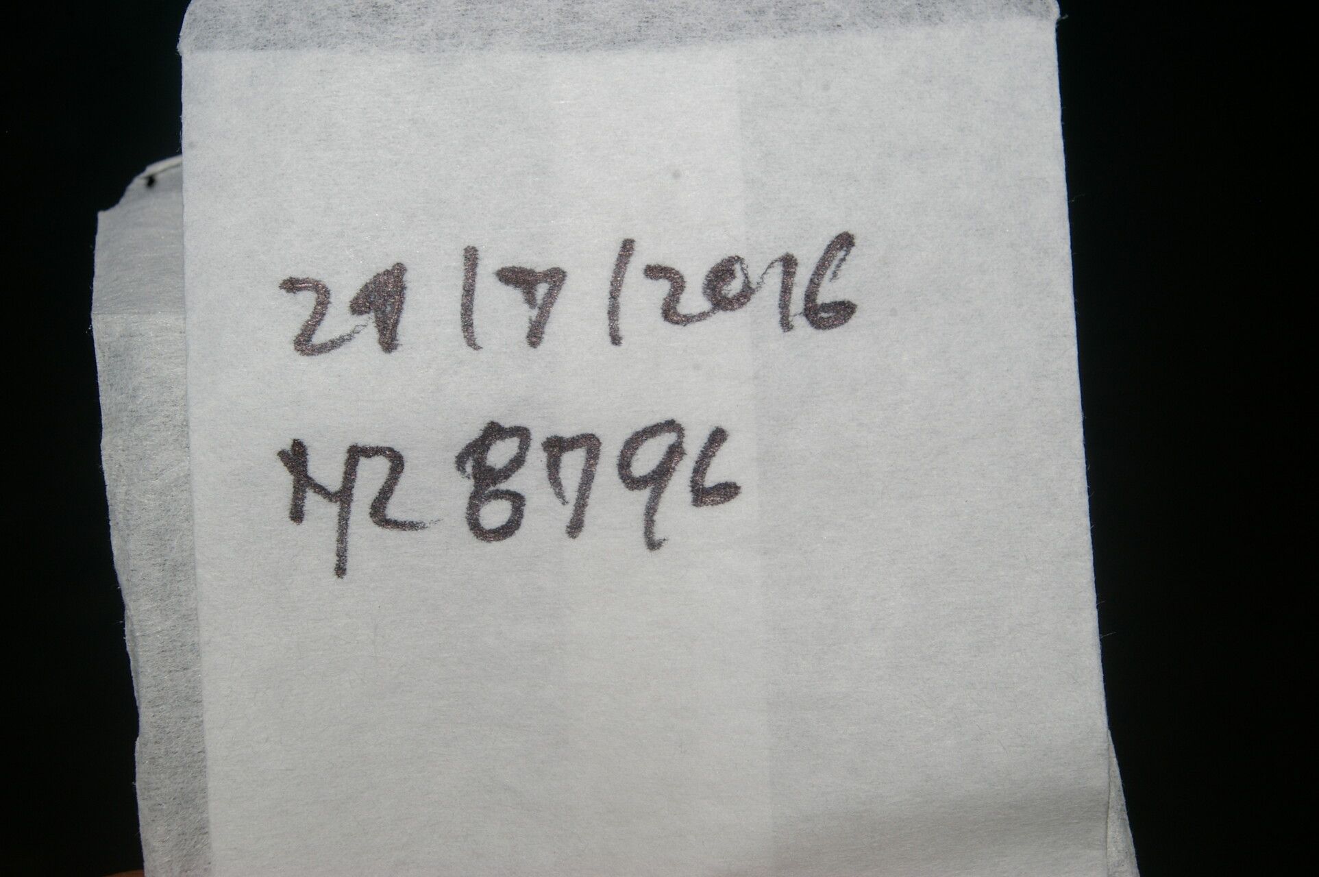 Lonchocarpus atropurpureus other