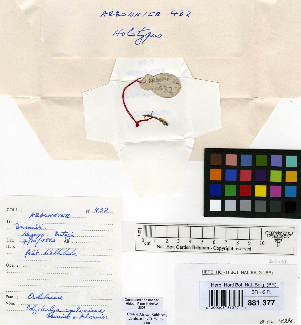 Polystachya greatrexii — houseplant care guide