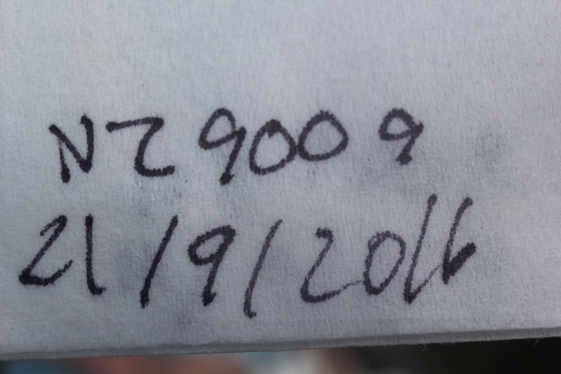 Aeschynomene filosa fruit