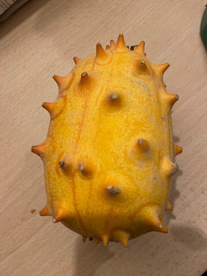 Cucumis metuliferus fruit