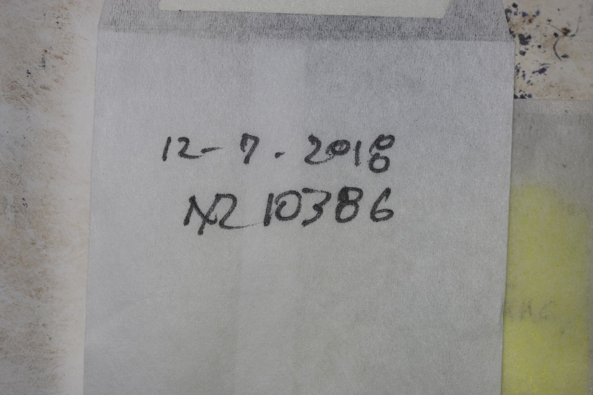 Licaria sarapiquensis other