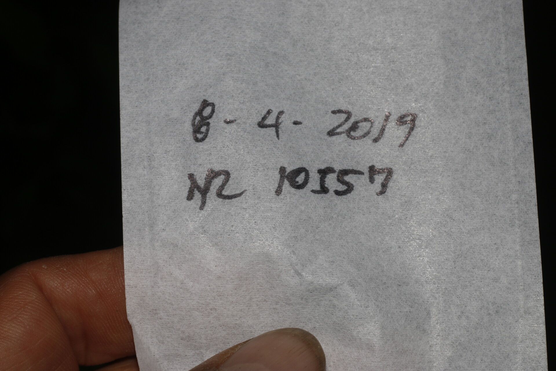 Platymiscium dimorphandrum other