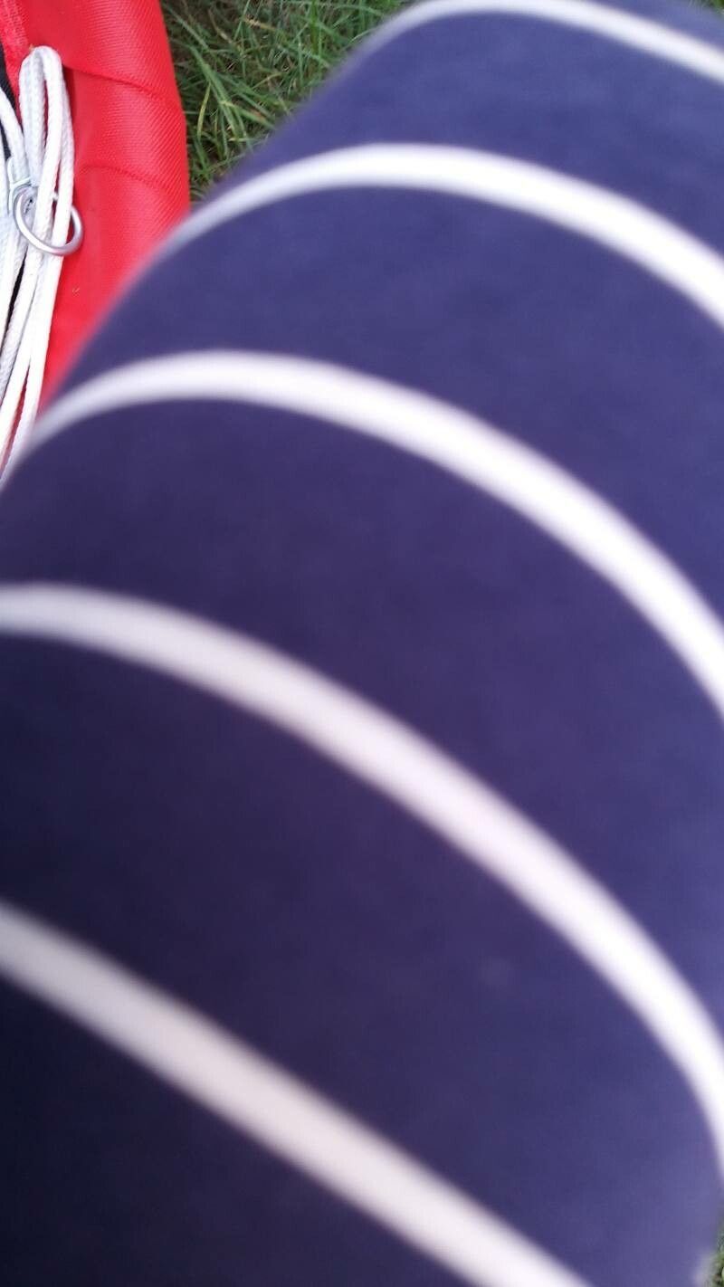 Allium commutatum x Allium porrum — houseplant care guide