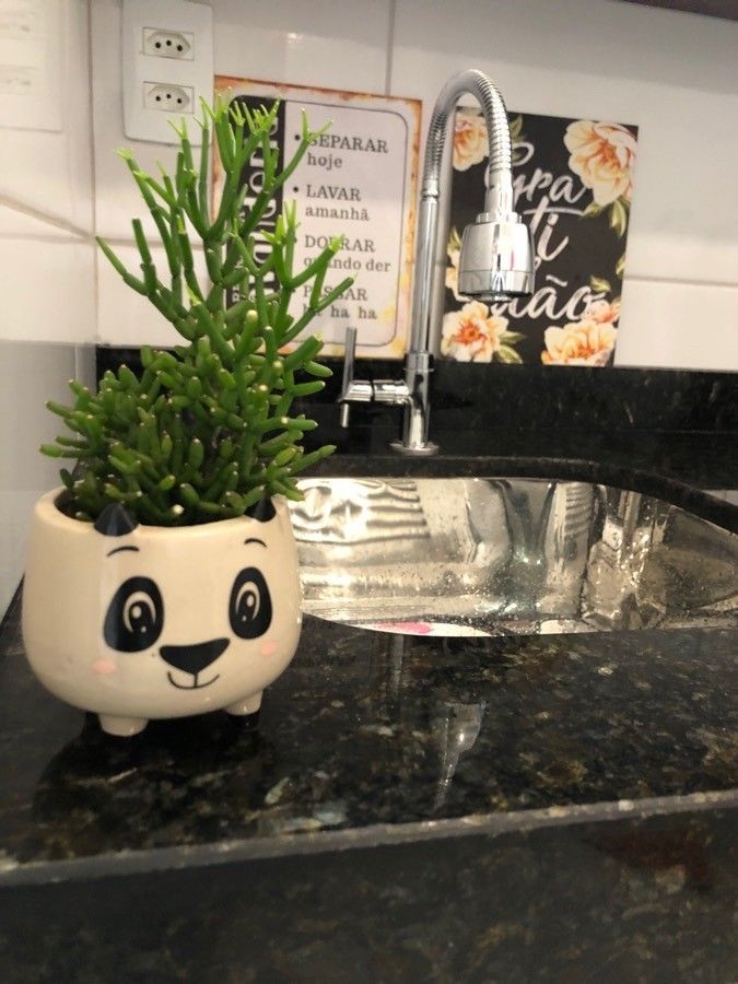 Hatiora salicornioides fruit