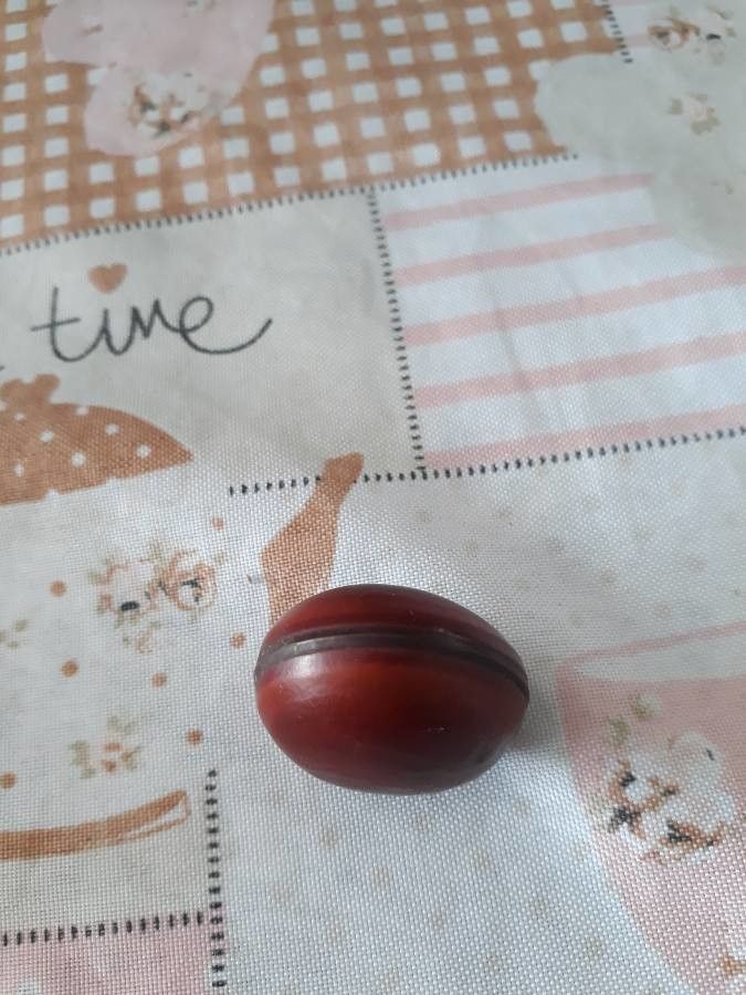 Dioclea violacea fruit