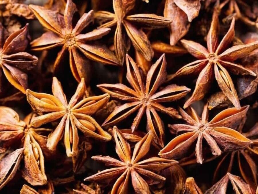 Illicium verum fruit