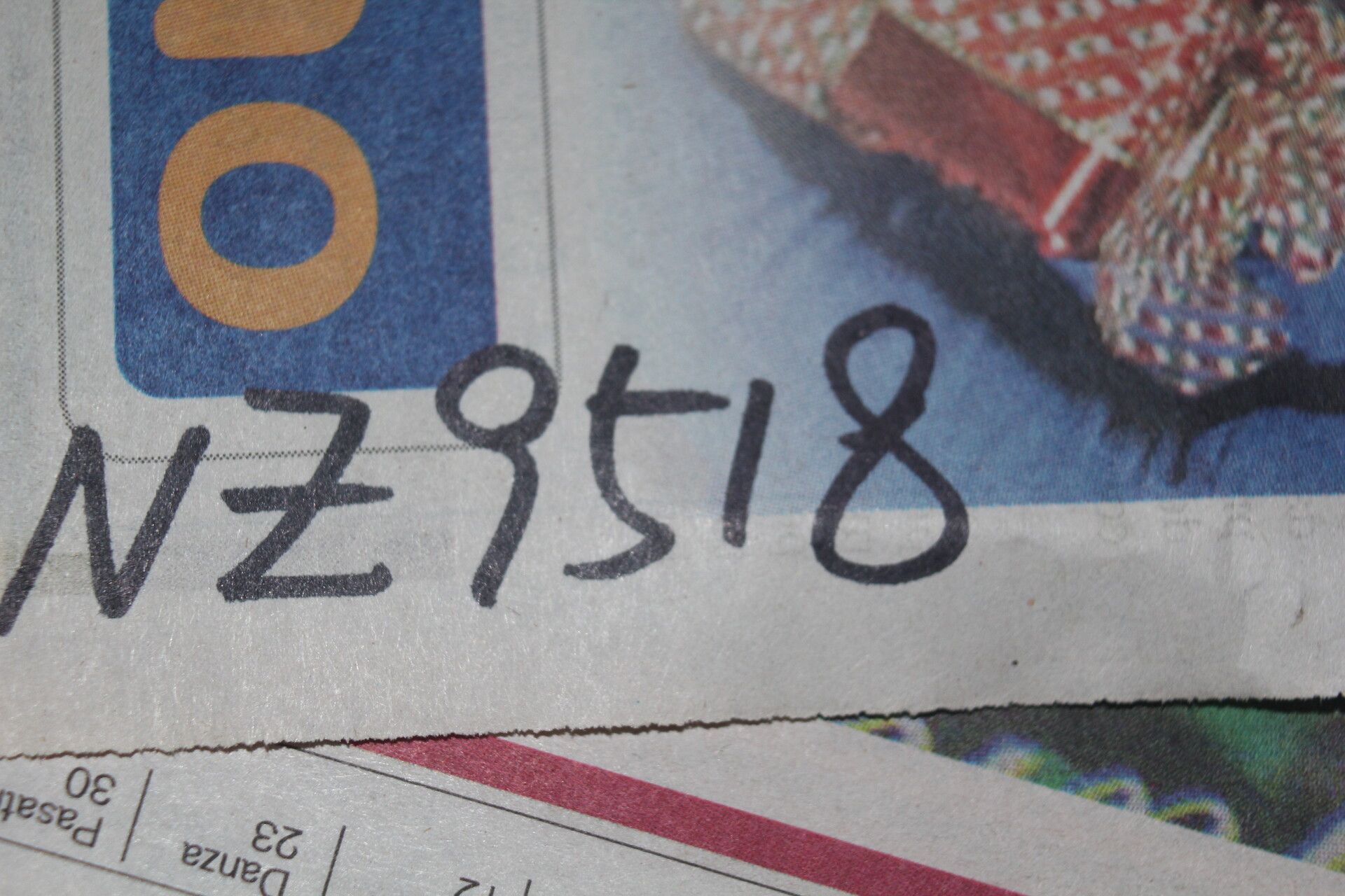 Psychotria microbotrys fruit