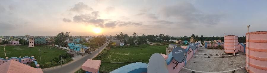 Hymenocallis coronaria — search result for 'Alabama'