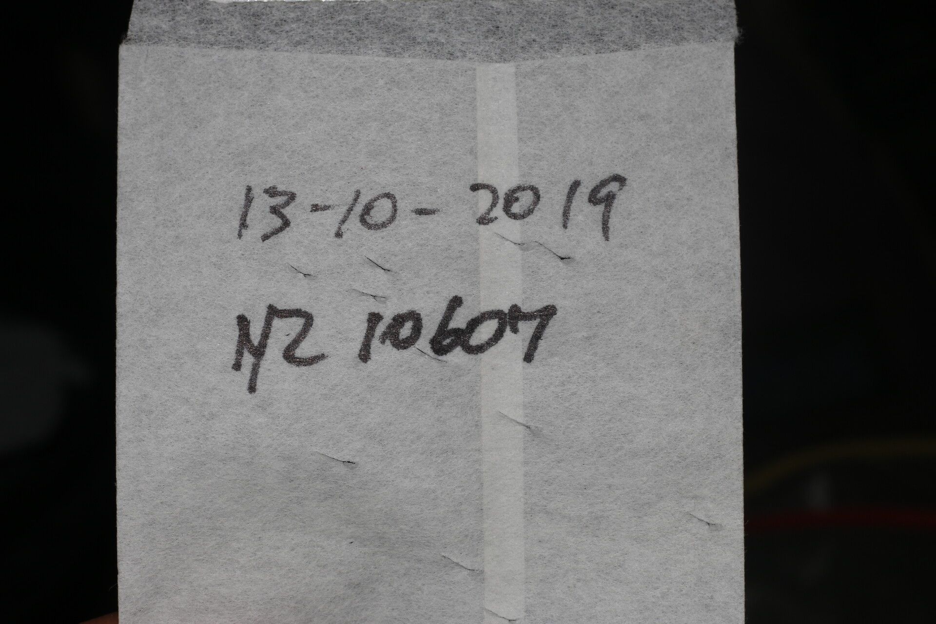 Varronia bullata other