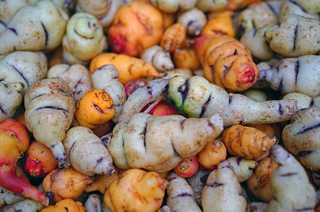 Tropaeolum tuberosum other