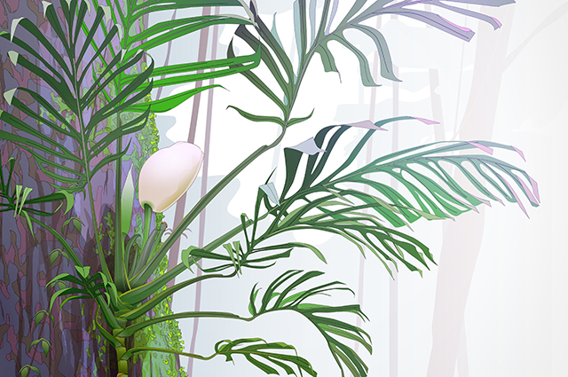 Monstera pinnatipartita other